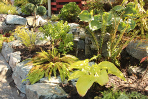 Landscaping and gardening services planting victoria bc