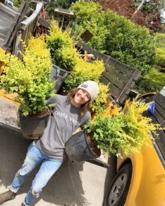 Landscaping and gardening services planting victoria bc