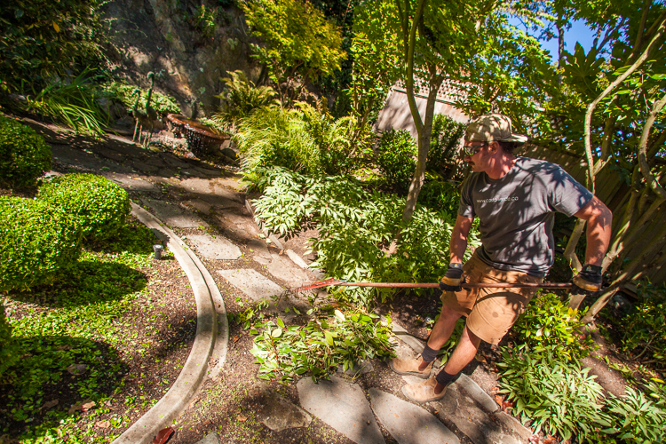 Garden maintenance in Victoria, BC