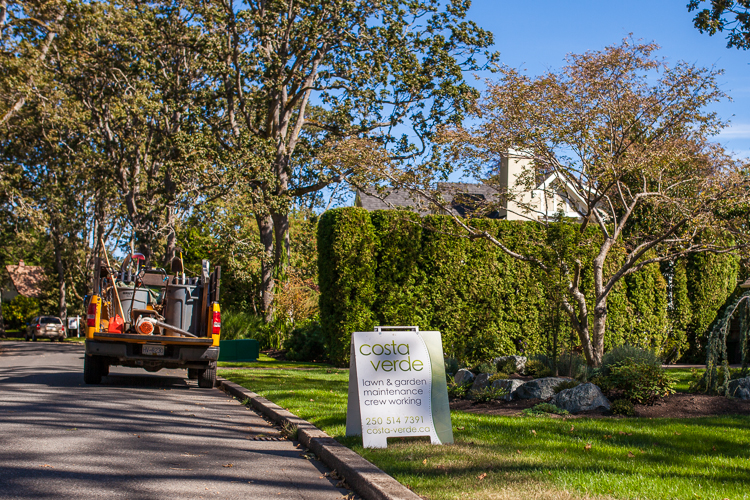 Garden maintenance in Victoria, BC