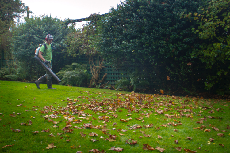 Garden maintenance in Victoria, BC