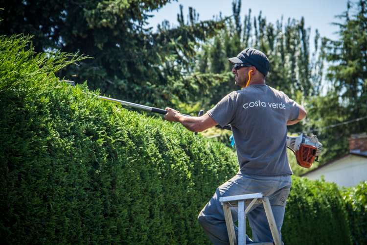 Hedging services in Victoria, BC