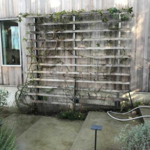 Garden maintenance services pruning and hedging victoria bc
