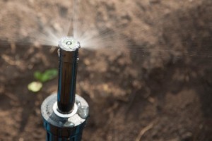 Irrigation installation and maintenance in Victoria, BC