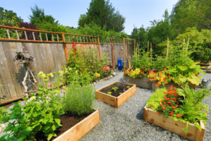 landscaping services plants and trees planting and install in victoria bc