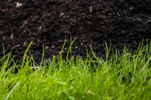 Lawn Mowing and Maintenance in Victoria, BC