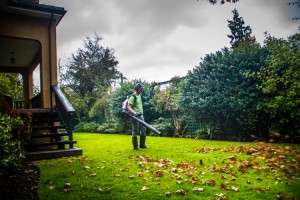 Leaf cleanup and removal in Victoria, BC 