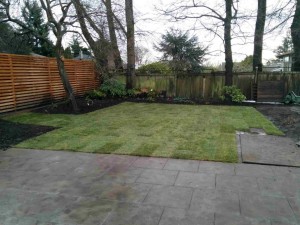 Overseeding lawns and installation - Victoria, BC