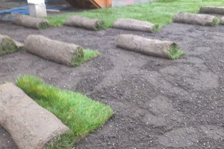 New lawn installation in Victoria, BC