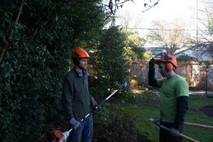 Pruning in Victoria, BC