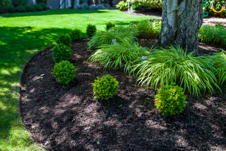 Soil amending and mulching in Victoria, BC