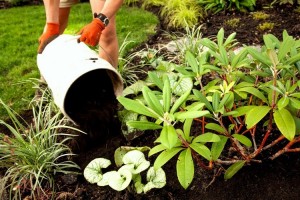 Spring and Fall Garden Bed Cleanup in Victoria, BC 