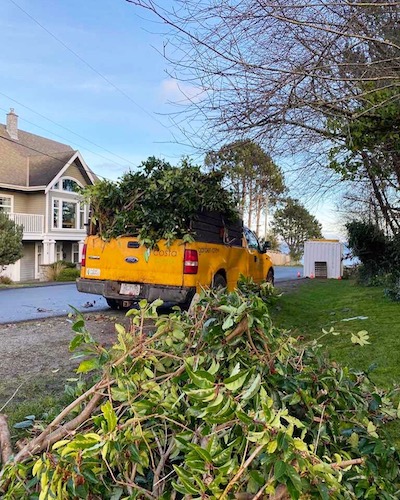 Costa Verde Landscaping and Gardening Crew Victoria BC