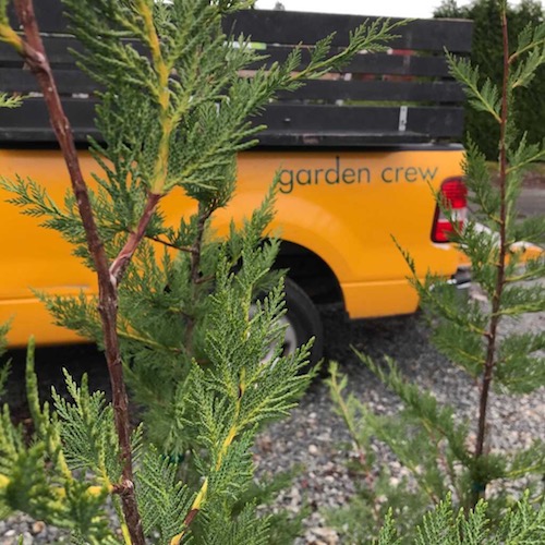 Costa Verde Landscaping and Gardening Crew Victoria BC