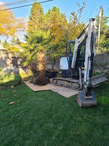 Costa Verde Landscaping and Gardening Crew Victoria BC