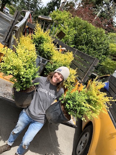 Costa Verde Landscaping and Gardening Crew Victoria BC