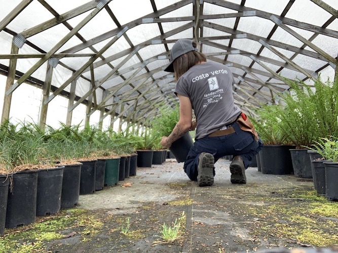 Costa Verde Landscaping and Gardening Crew Victoria BC