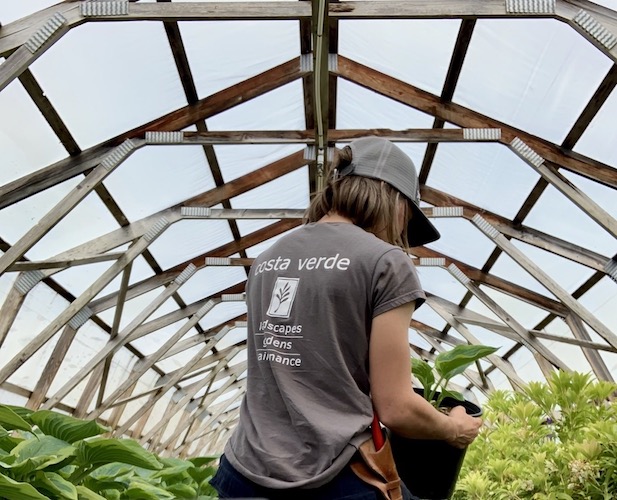 Costa Verde Landscaping and Gardening Crew Victoria BC