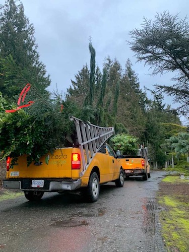 Costa Verde Landscaping and Gardening Crew Victoria BC