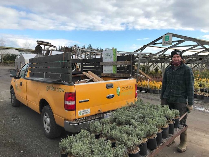 Costa Verde Landscaping and Gardening Crew Victoria BC