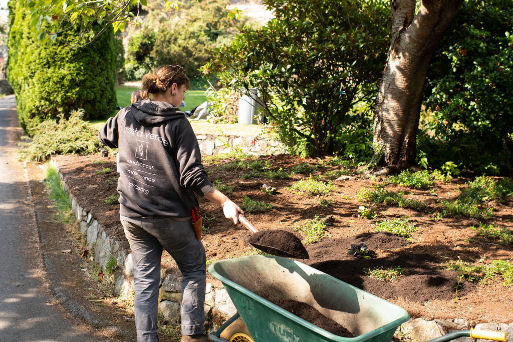 5 Tips to prepare your Summer garden heat and drought: mulch